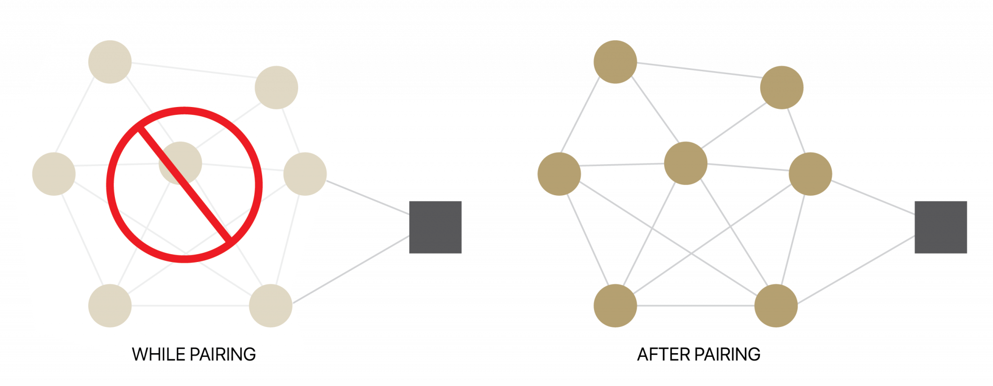 Pulse 2 | Automate Shades