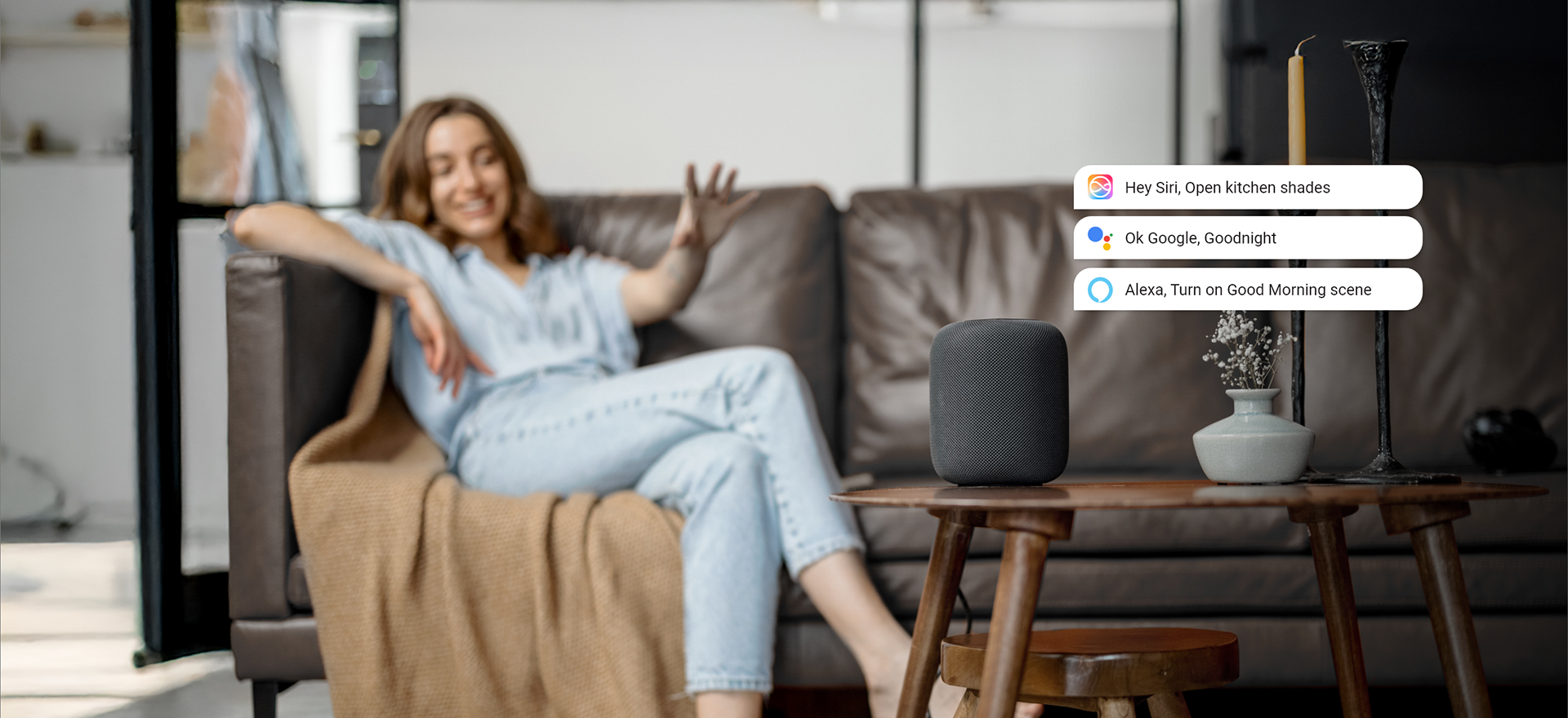 Automate_Pulse-PRO_Voice Assistants_2025.1